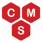 Custom CMS Services
